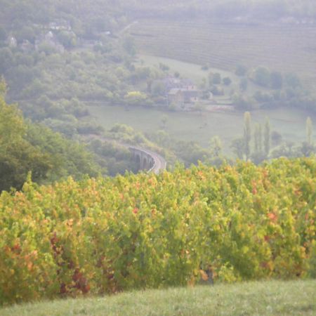 maison isolée dans les vignes et les bois Valady Extérieur photo