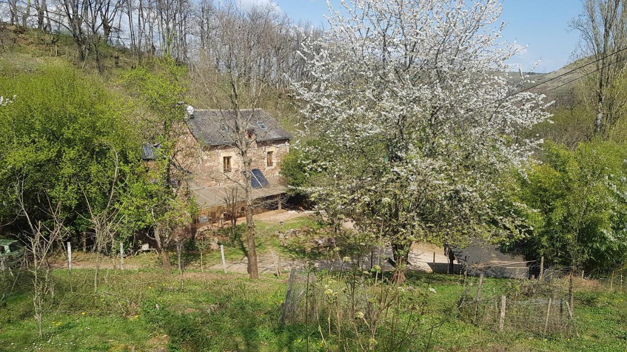 maison isolée dans les vignes et les bois Valady Extérieur photo