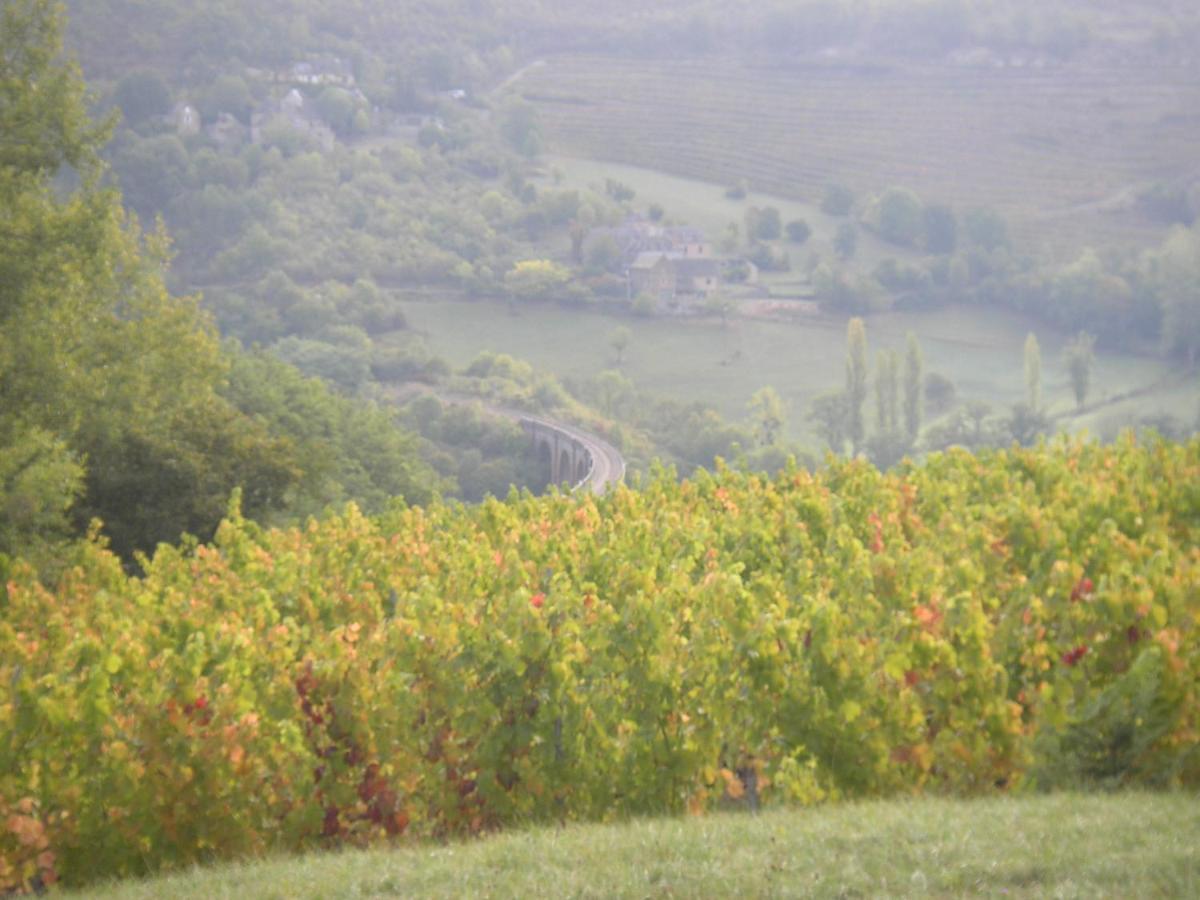 maison isolée dans les vignes et les bois Valady Extérieur photo